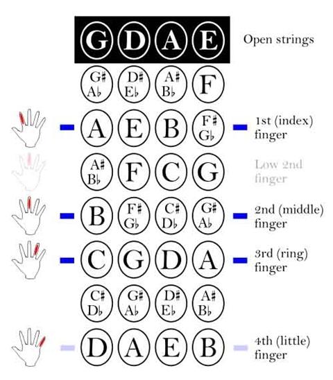 STRINGS 
