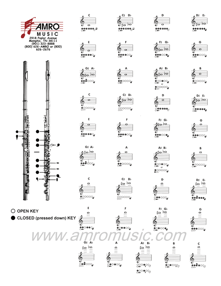 Flute 