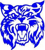 Wildcat