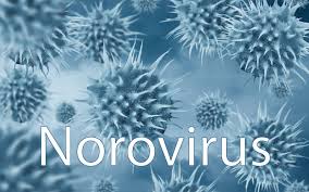  Click above for information about the Norovirus in English, Spanish, and Haitian Creole. 