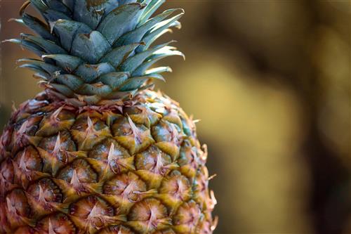 The Pineapple Chart 