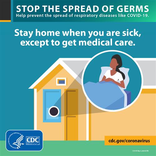 stay home 