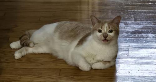 "I'm so excited for you to learn!" - Ginger