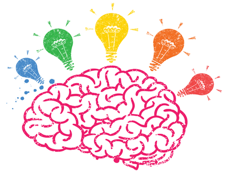 The Thinking Brain The Thinking Brain