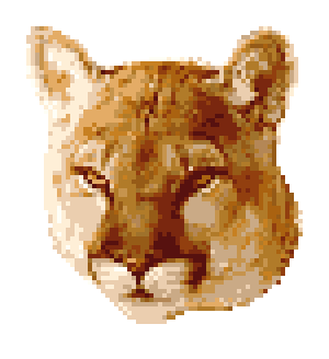 cougar